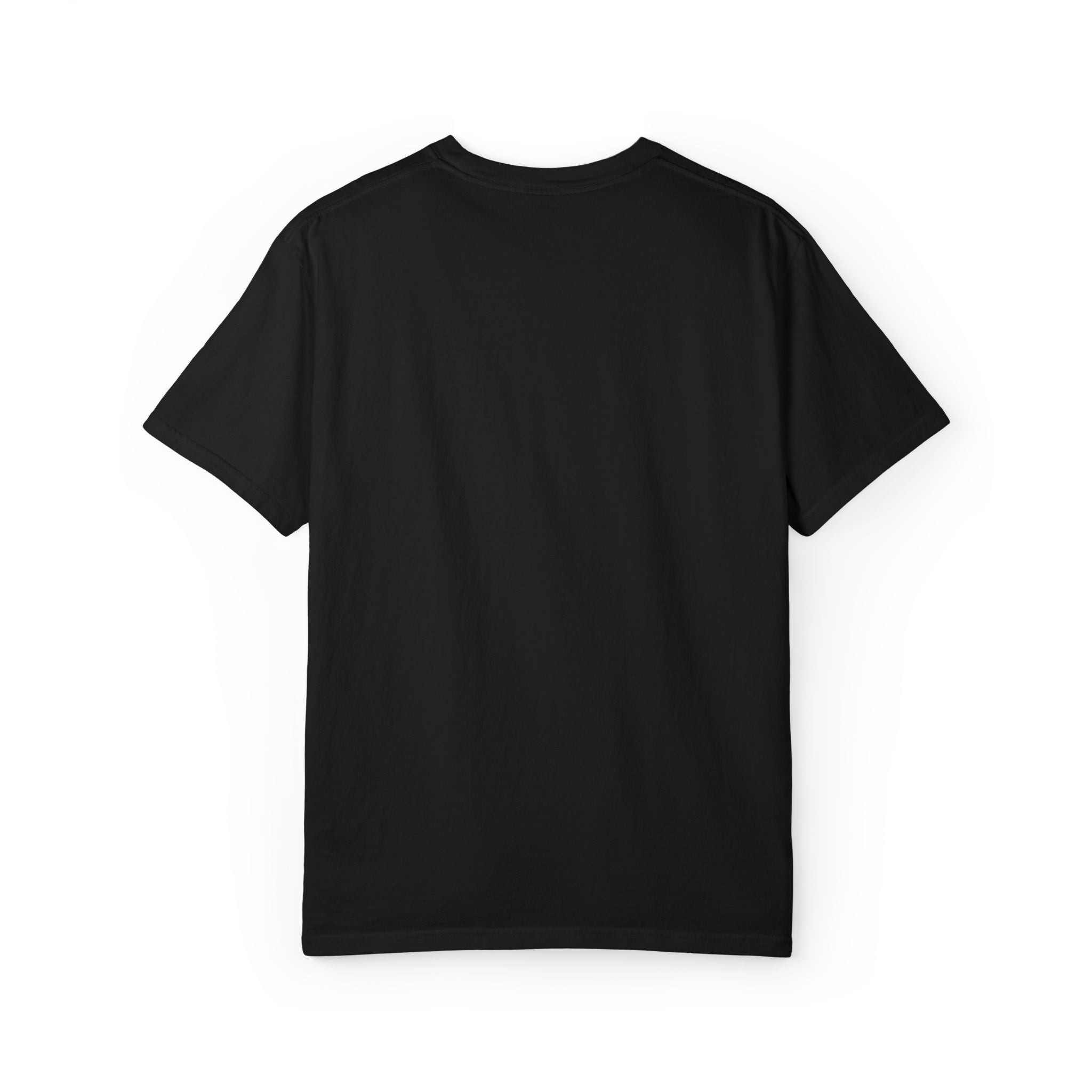 Aquila logo tee